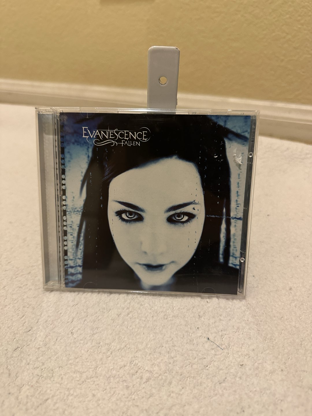 Evanescence DVD