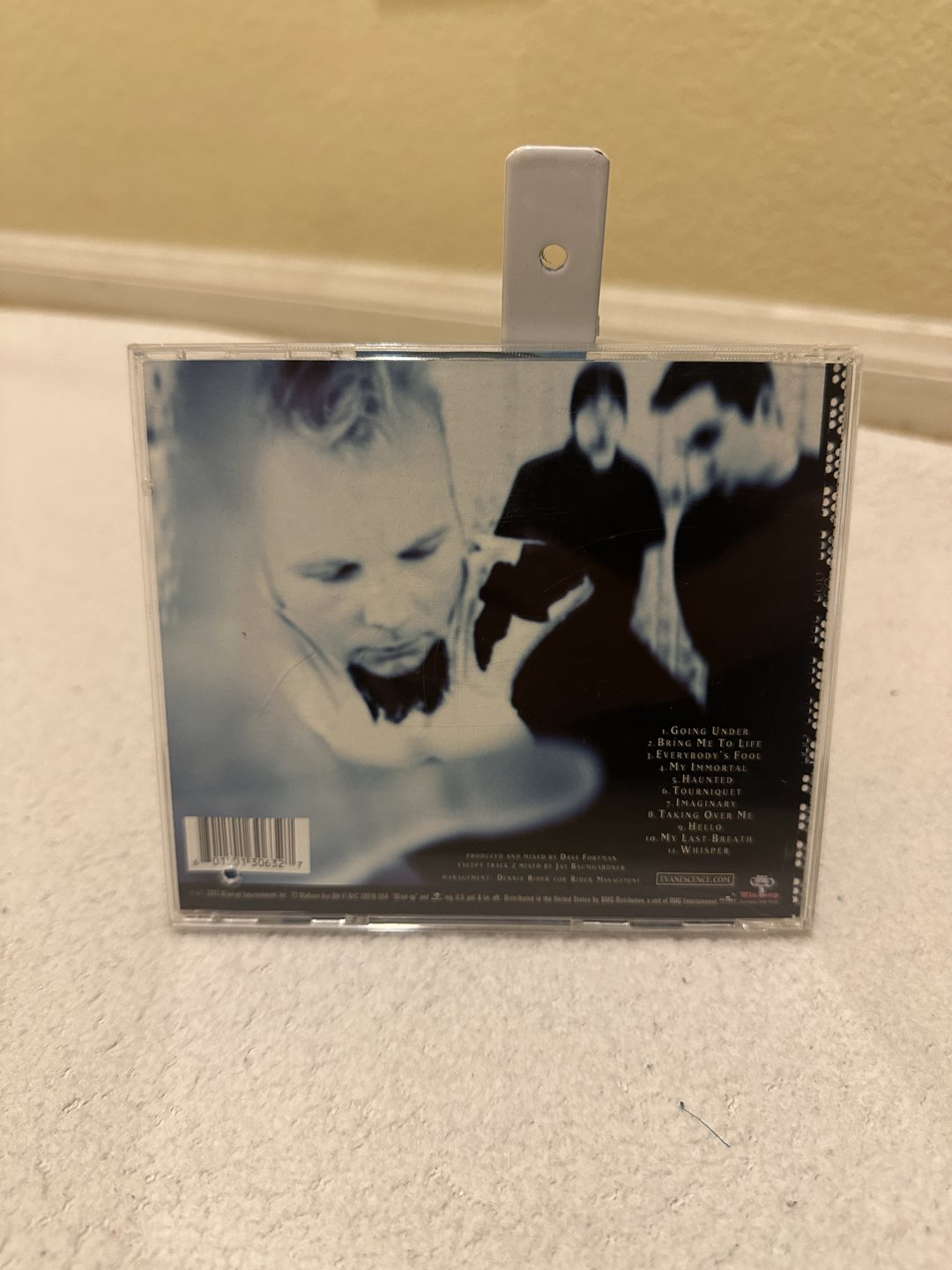 Evanescence DVD photo 2