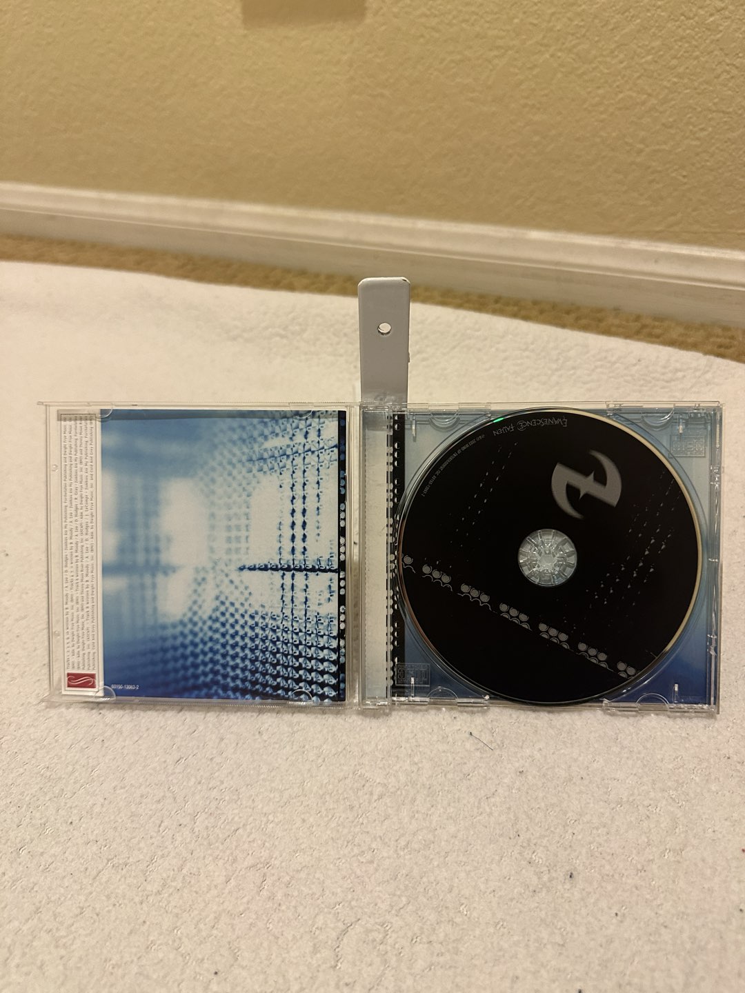 Evanescence DVD photo 3