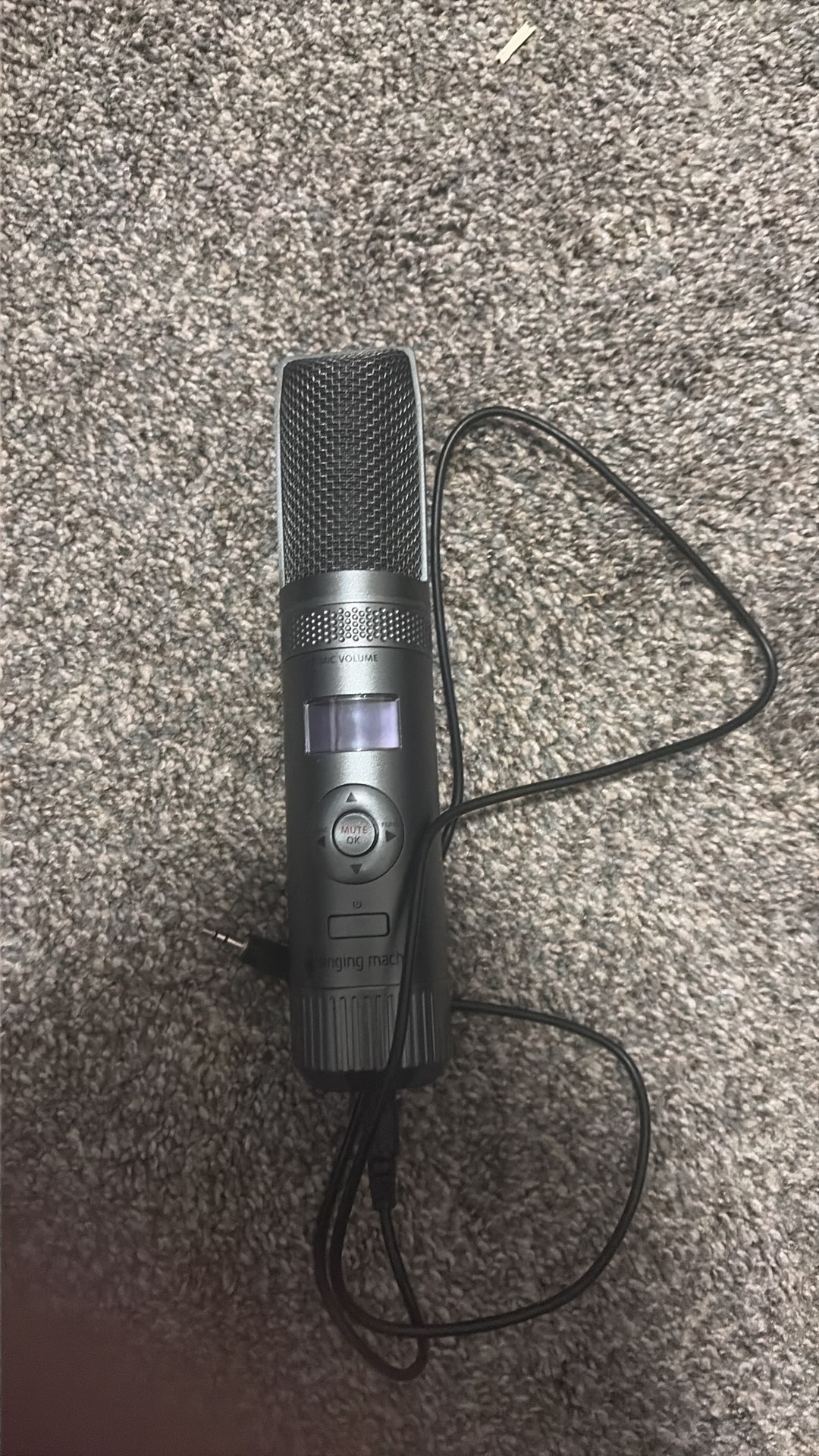 Singing Condenser Mic