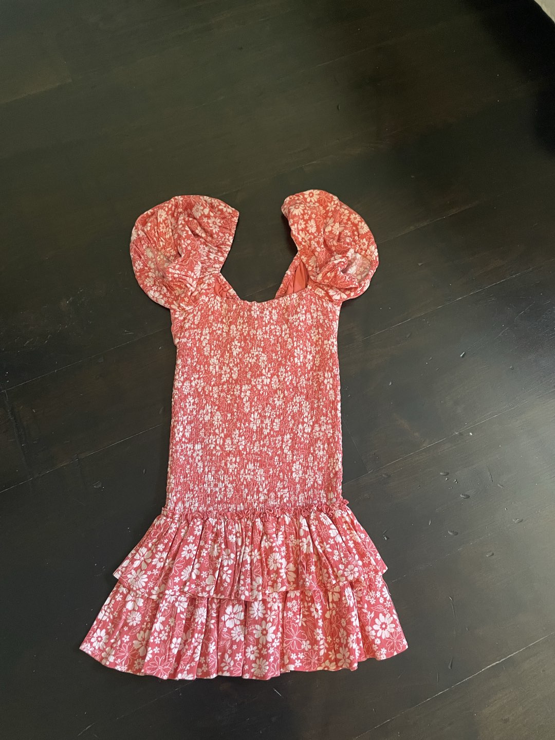 Isabelles Cabinet Dress photo 3