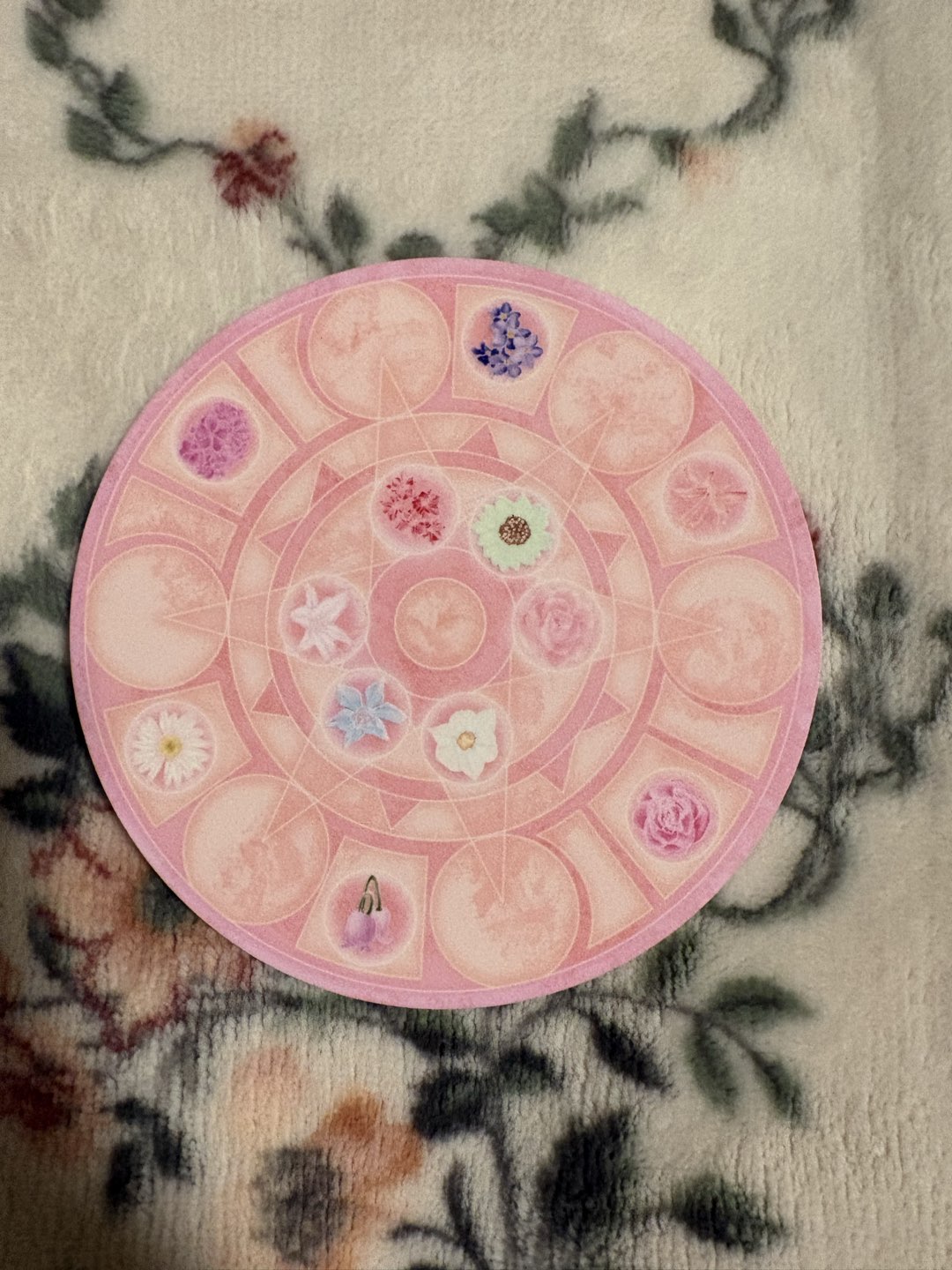 12 Dancing Princesses Coaster