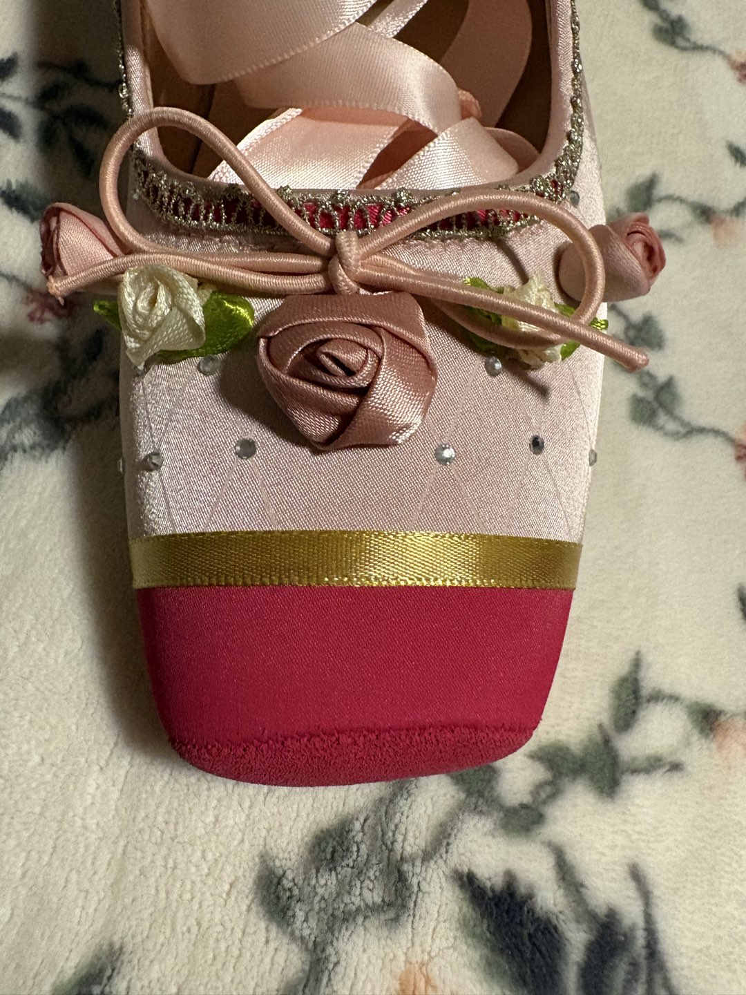 12 Dancing Princesses Shoes photo 3