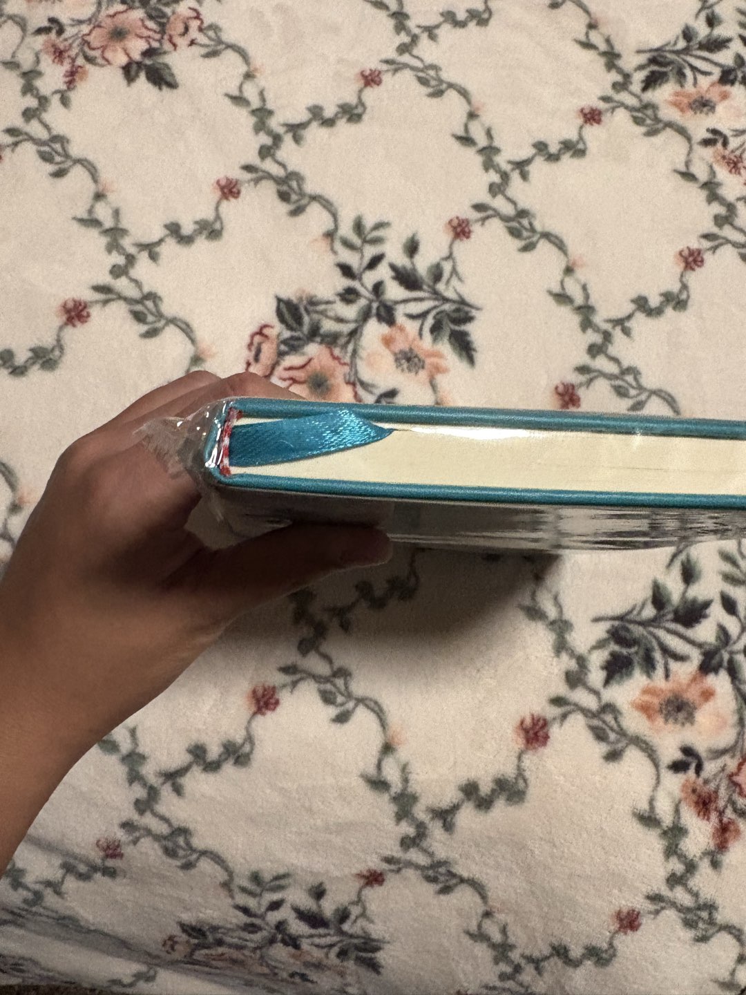 Blue Notebook photo 5
