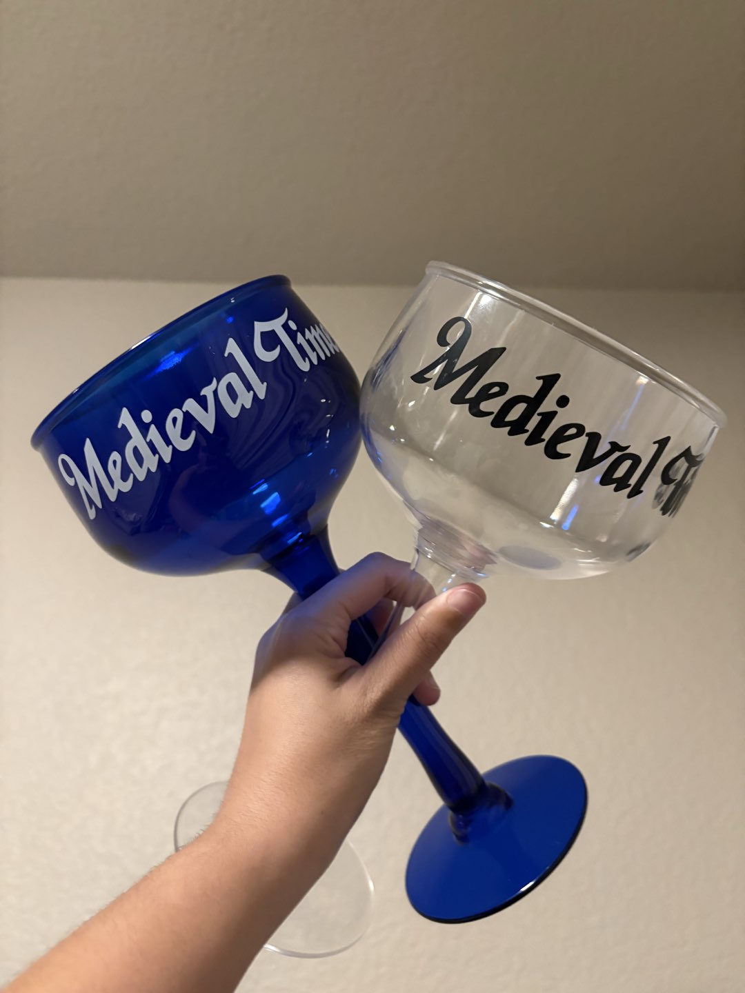 Medieval Times Goblets!