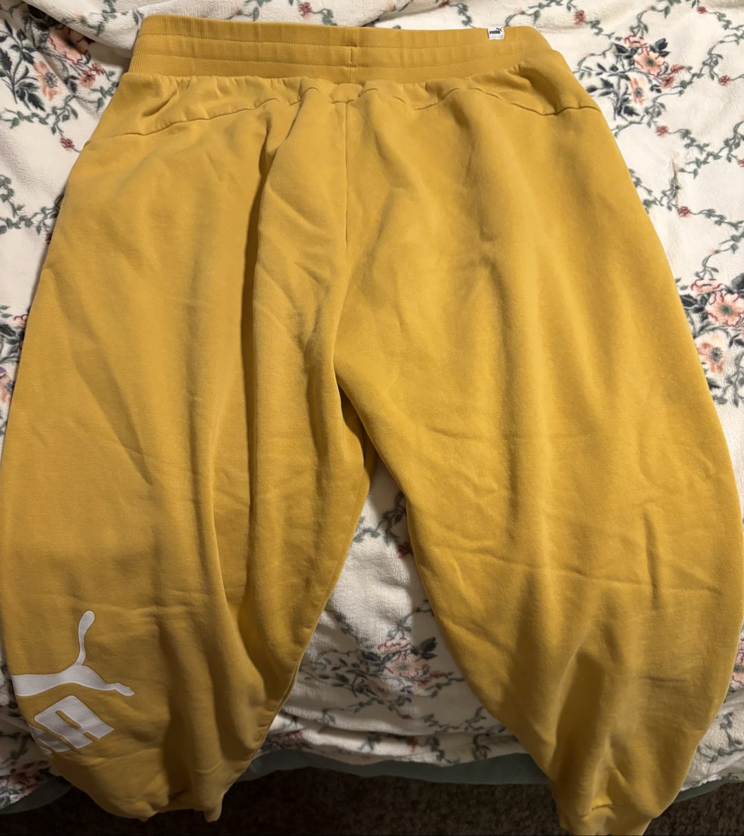 Lots of Sweatpants photo 3