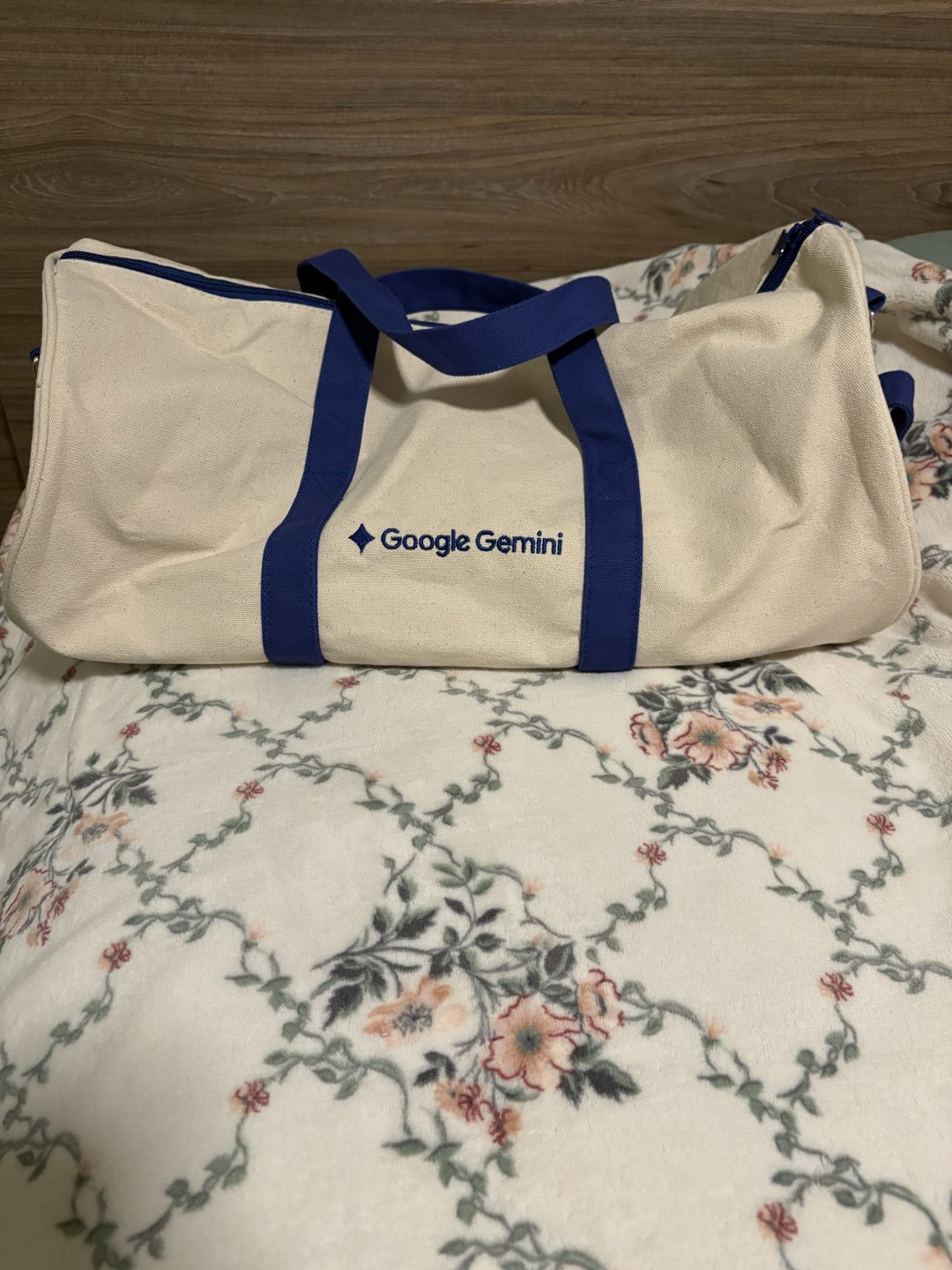 Google Gemini Bag + Slides + Camera