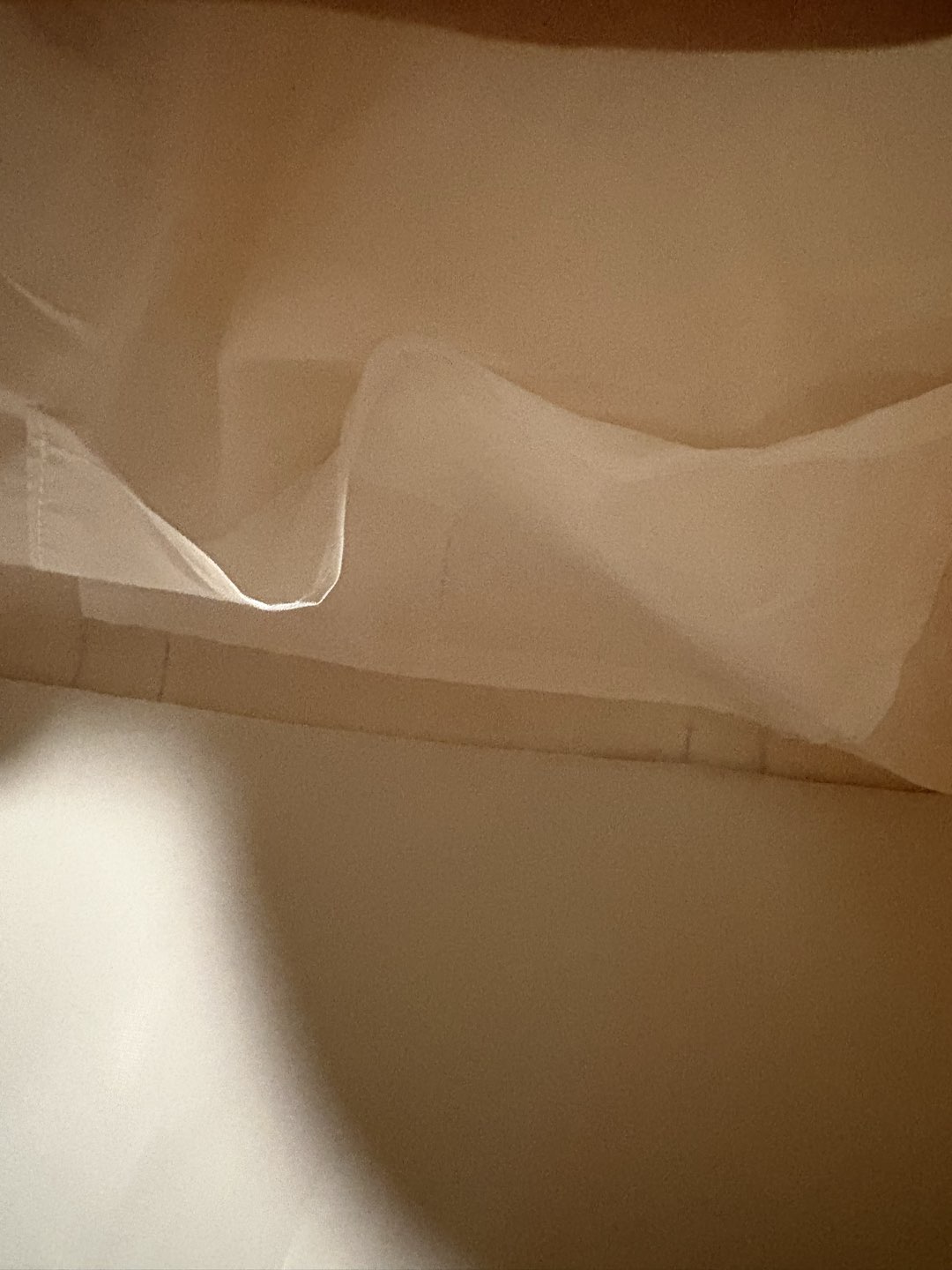 Google Gemini Bag + Slides + Camera photo 3
