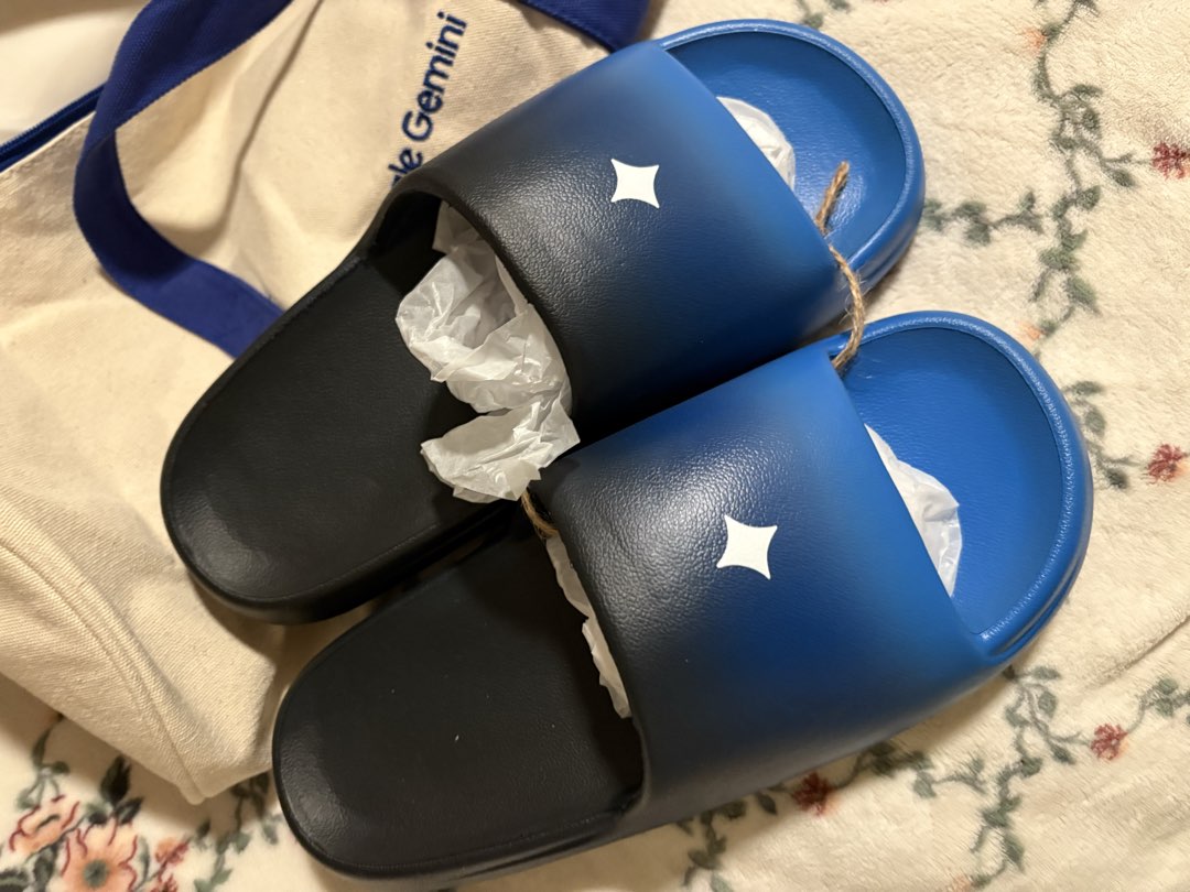 Google Gemini Bag + Slides + Camera photo 5